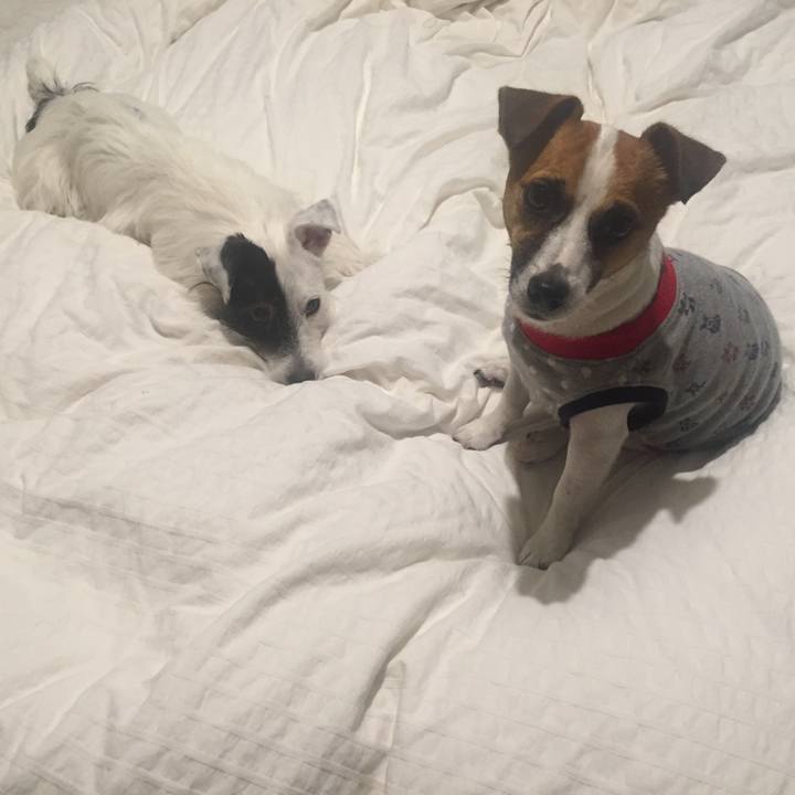 C0c45362 1bbf 4398 9196 904c2a8d9f84