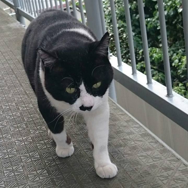 C0c5260e f90d 463f 8964 26ee9f576706