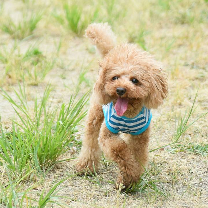 C0c56a1c 4f72 4547 bd6c 98f94a61b742