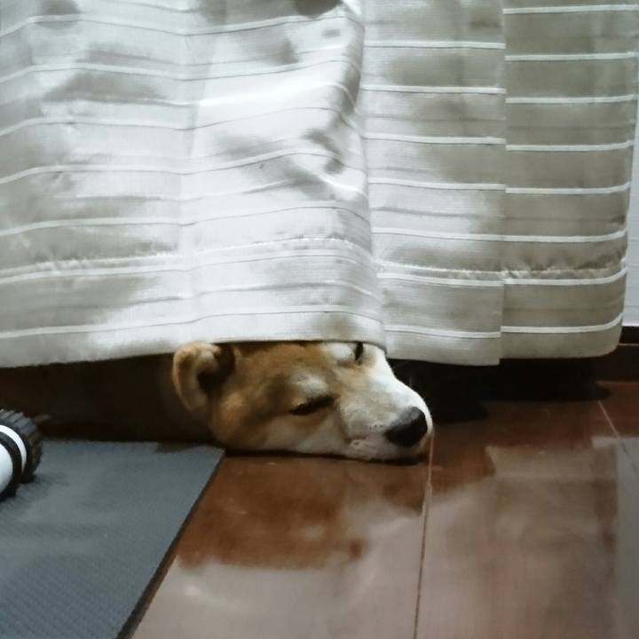 C0c56f7b a6b7 46df 8fb6 8d0d225d8816