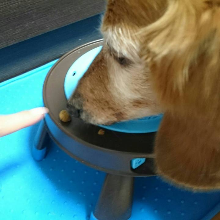 C0c69124 a5c1 4e20 a62a be5a2484f6bf