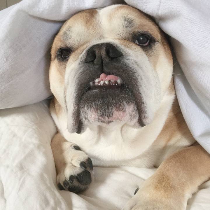 C0c76206 625f 47fd 84ab 643ee270c50d