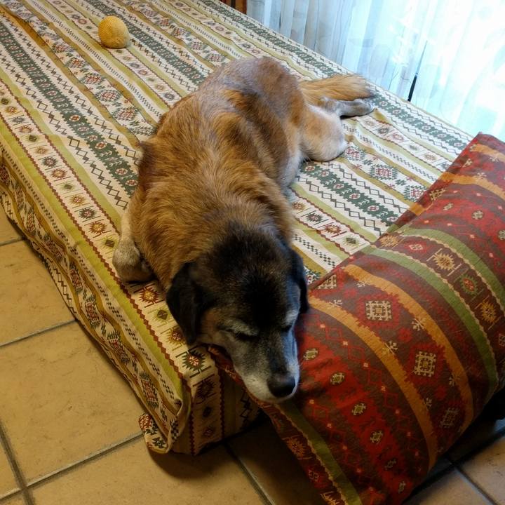 C0c7b72e 0052 456d 92f2 56bfe149f3a4