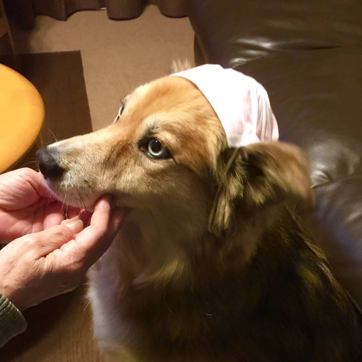 C0c8318c 7bec 4ae1 bbc9 4a5b94a62f7c