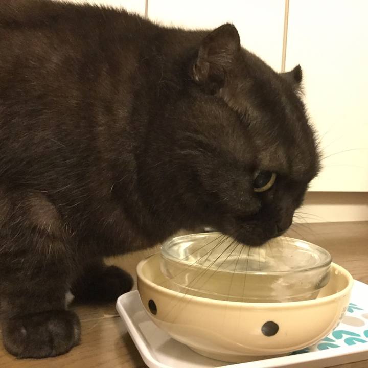 C0c8a9b6 dd6b 4f46 8f12 35f237e51f8e