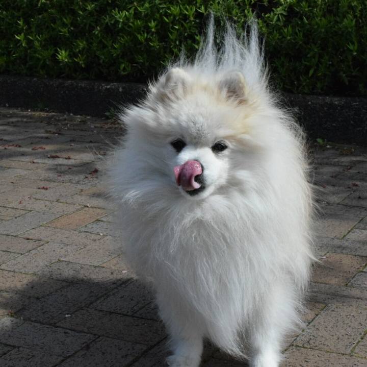 C0c92748 7fae 4c0a 8c3e 2a411a83206b