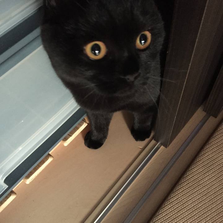 C0c9fb0e 8989 4c9b a2e1 ec02ef5ed55b