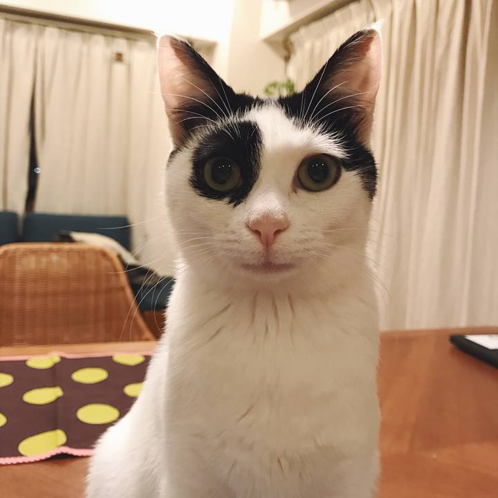 C0cadfe2 e647 4142 b183 6086426bb71c