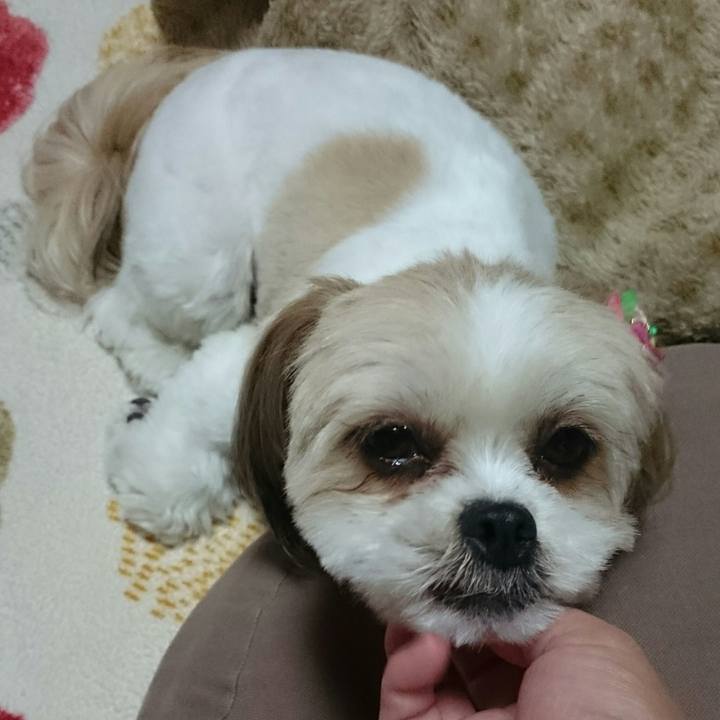 C0cb238d 1505 4683 8418 ec4d4757b8b0