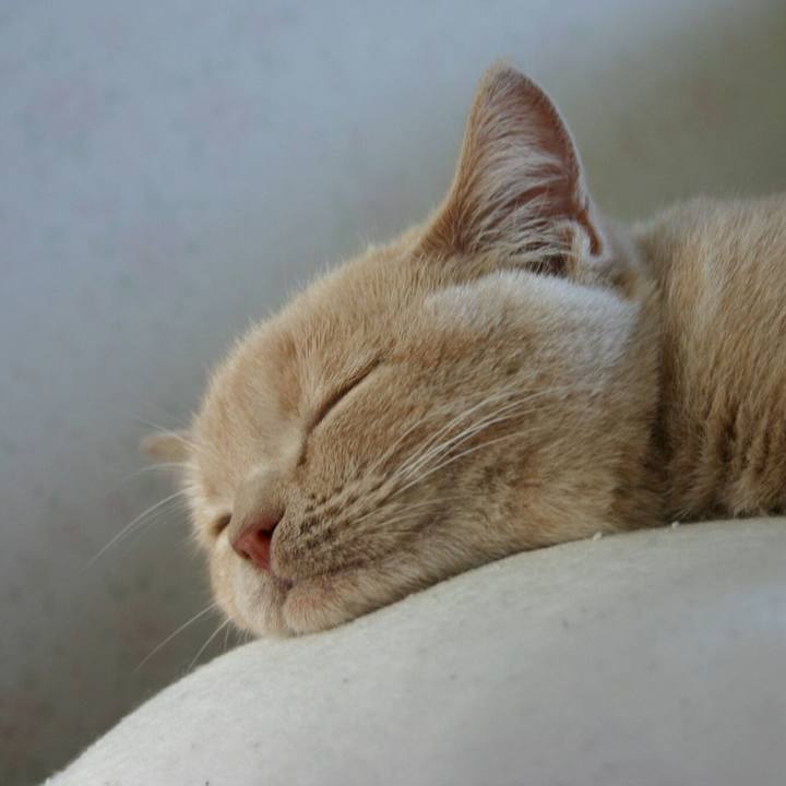 C0cbd78d b94a 446d 99aa fed1452aa8b5