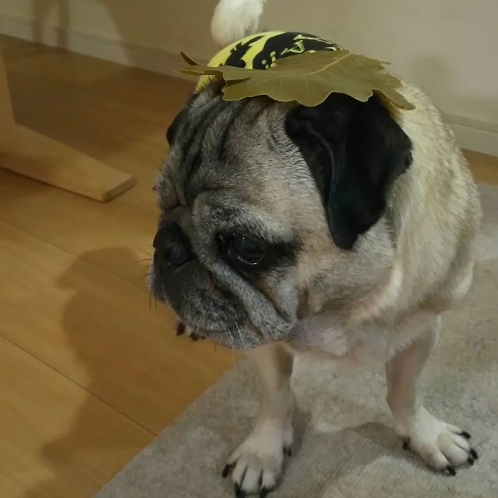 C0cbf982 8124 4307 b7fc 0bdc30bb598f