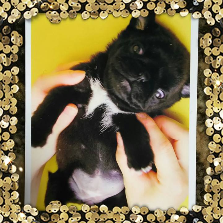 C0cc3298 6a52 414b adfe 113d90f832c9