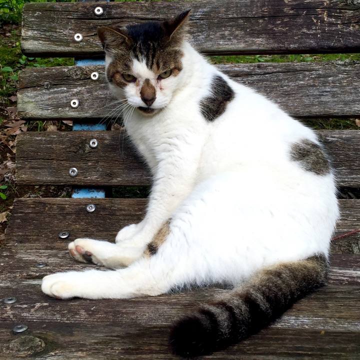 C0cc3e67 14c8 427c a0fe a5d19629b6e4