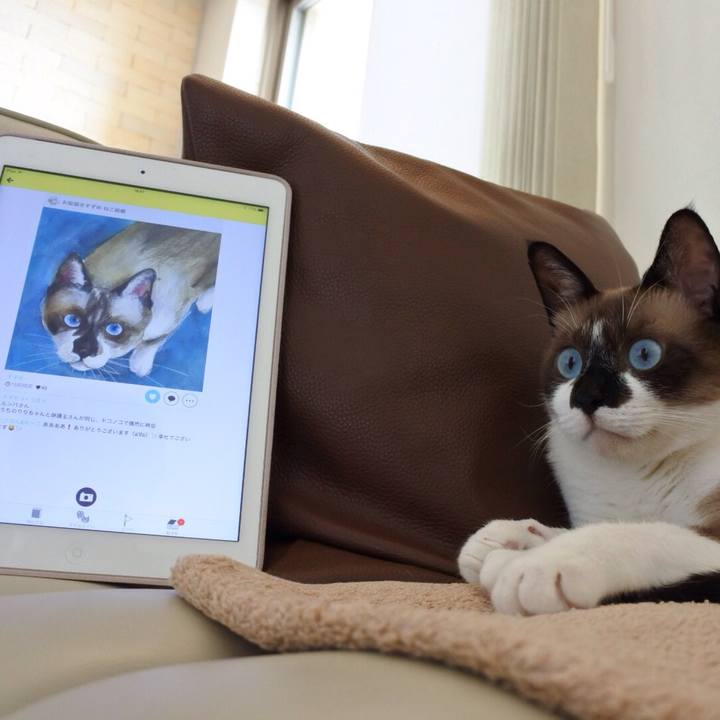 C0ccecaa 2377 4a55 9d91 13f468ff18dd