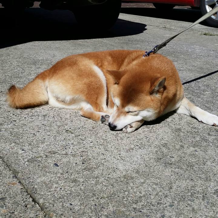 C0ccf508 9d45 4a64 87ce 9c78f15eb71e