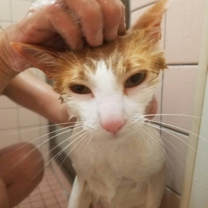 C0ccfc77 f2c3 4ff9 a73a 4b3939a4c228