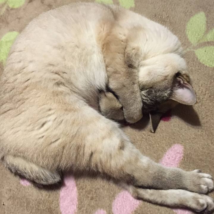 C0cdce2c 78a7 44d0 b33a dca867ebb62c