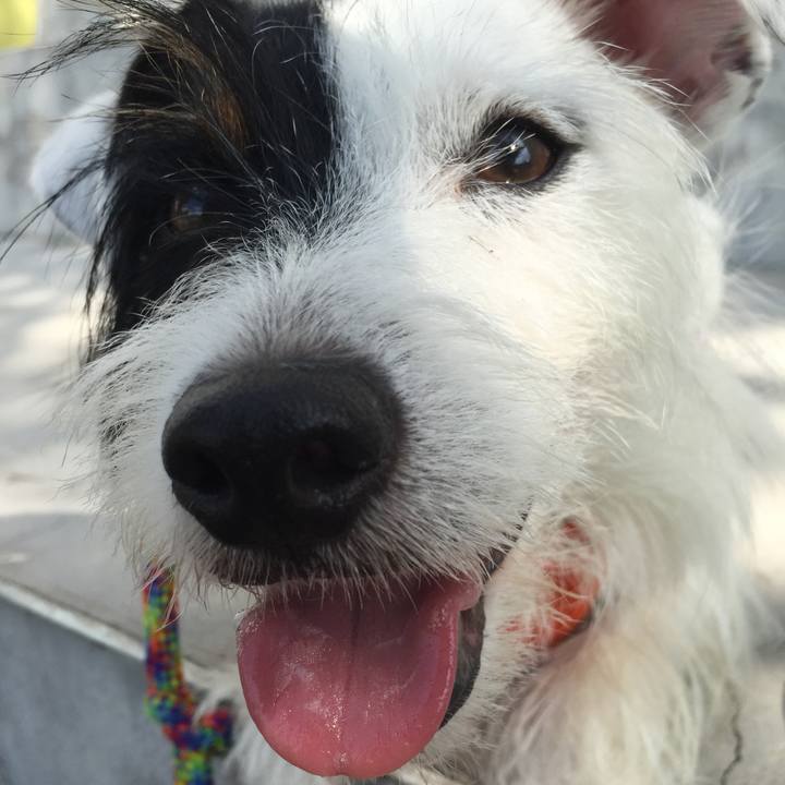 C0cdd160 c8ca 4688 abf3 dbb7ae55ba3d