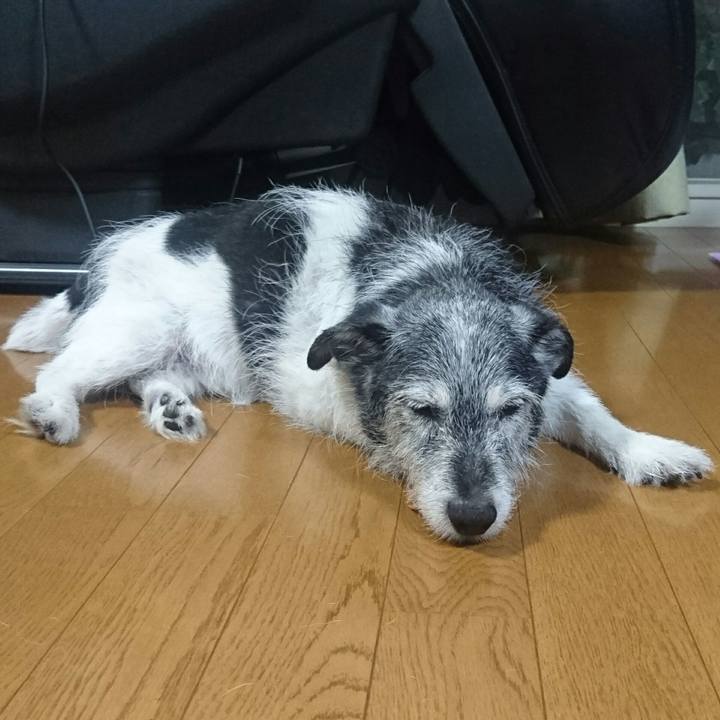 C0cf01e3 52fc 49c9 b53e 911ec1ab7a98