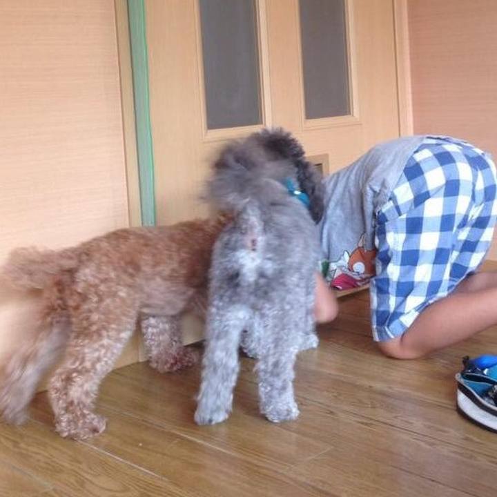 C0cfd49c 0ee8 41b5 aaec 464dd2e5cf46