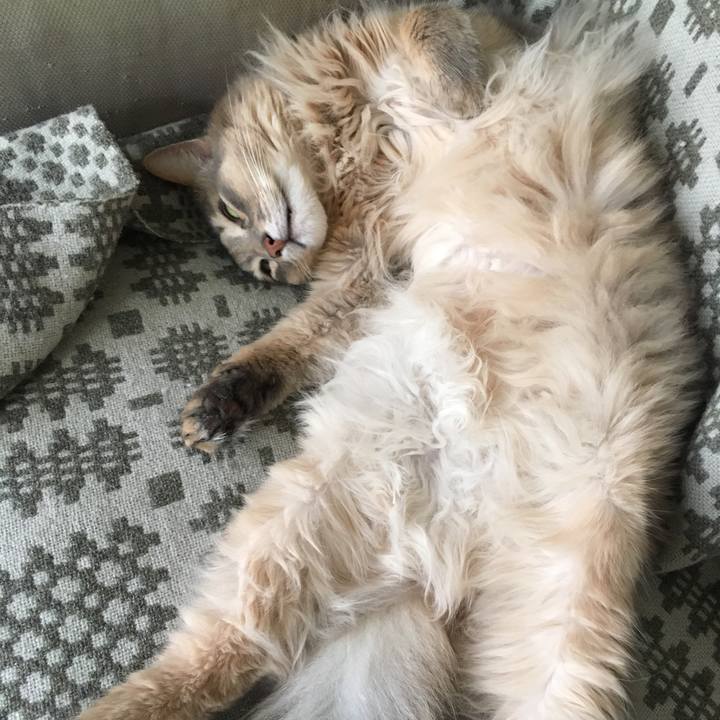 C0cfd7b7 d6aa 4a3f 9600 015bee722307