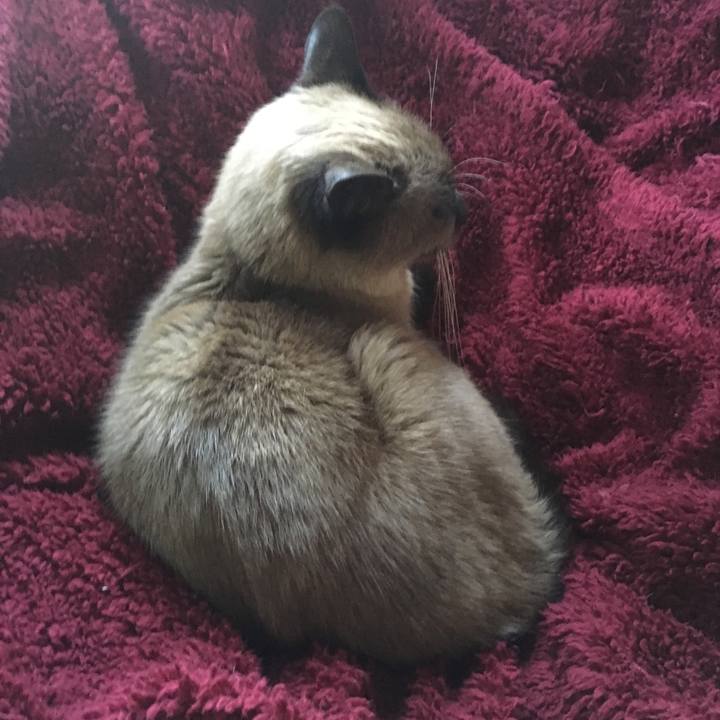 C0d03239 9946 45c3 b80d ade97fa71f4d