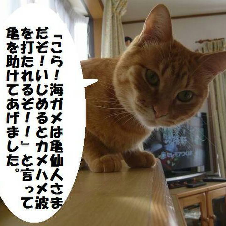 C0d09ae8 cb5f 4061 87b6 e944a1465545