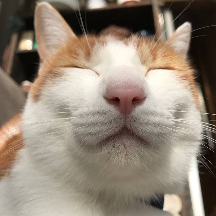 C0d113b9 b29d 4831 9ba4 3283f7692cc1