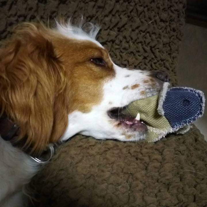 C0d16f71 0529 42ac 9897 4c82d3ac75d6