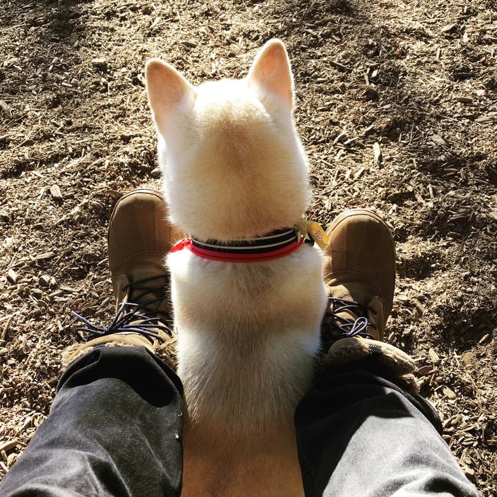 C0d17ced 3eb5 435a b642 59bebfcb79e3