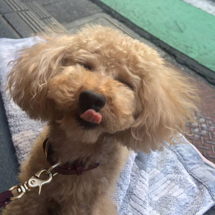 C0d185d1 9180 45e3 b7f5 76e4f02dd731