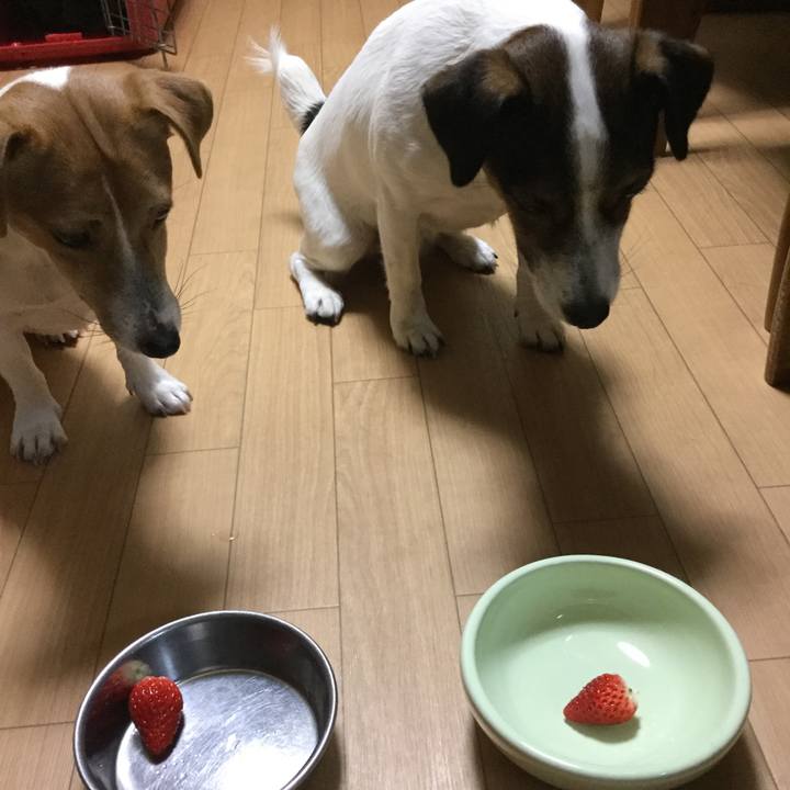 C0d2405e 7e32 45f5 96cd a95fdb51b331