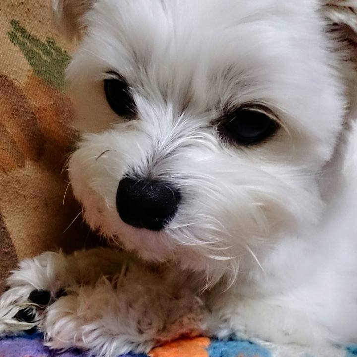 C0d24100 ff76 4e34 9257 87fd29bfd3a1