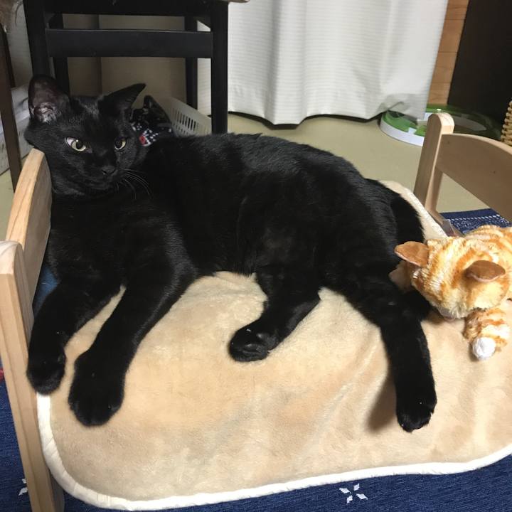 C0d3116f 193b 4ca4 bcde b56802f113d3