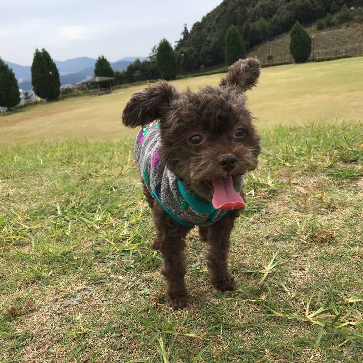 C0d32143 11ec 48ec b2ba a7c894b9890e