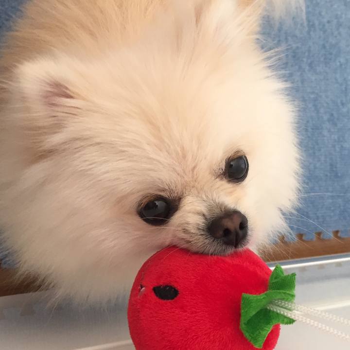 C0d34523 dfab 4a06 96cf d66f9af8ed67