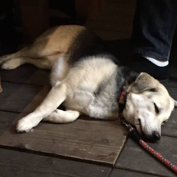 C0d35d58 002e 4233 a4cf 950b1ed5888d