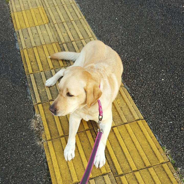 C0d4025c bc11 4d59 92eb a4a20884ddee