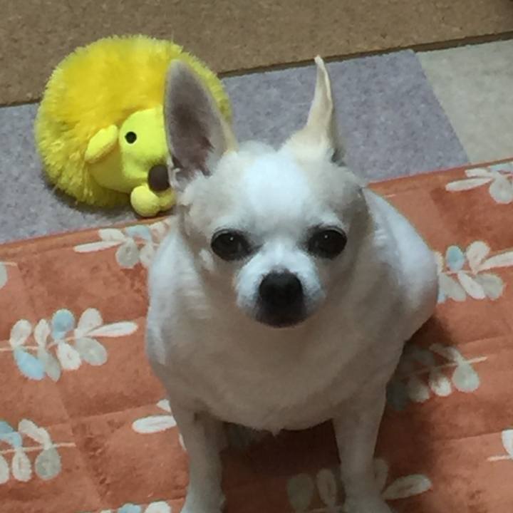 C0d45e4b 4493 4440 885d 205e9b7ddfff