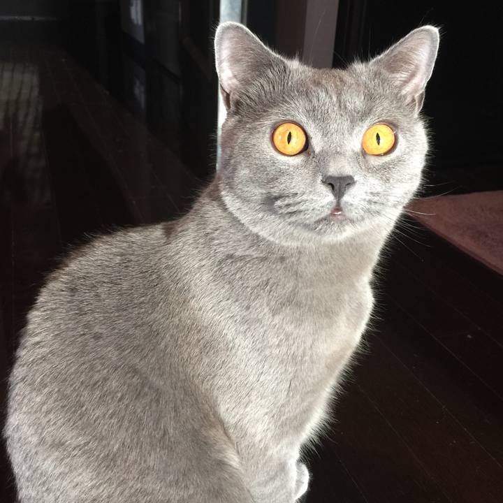 C0d48a1f 667c 4cda a152 c0bb72e5544e