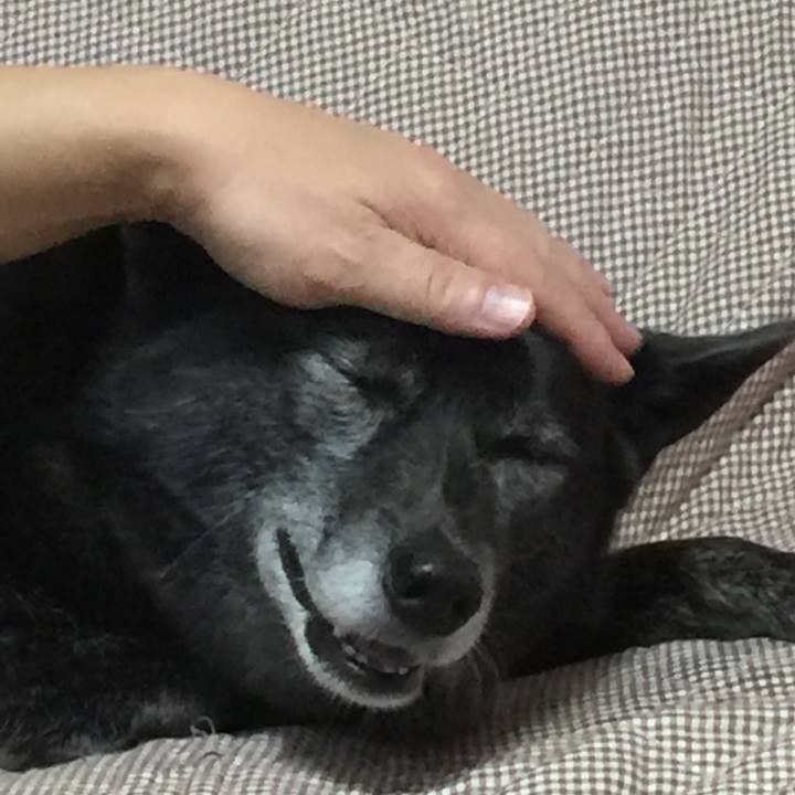 C0d49452 b3e4 479d b281 9220ee3e1c7c