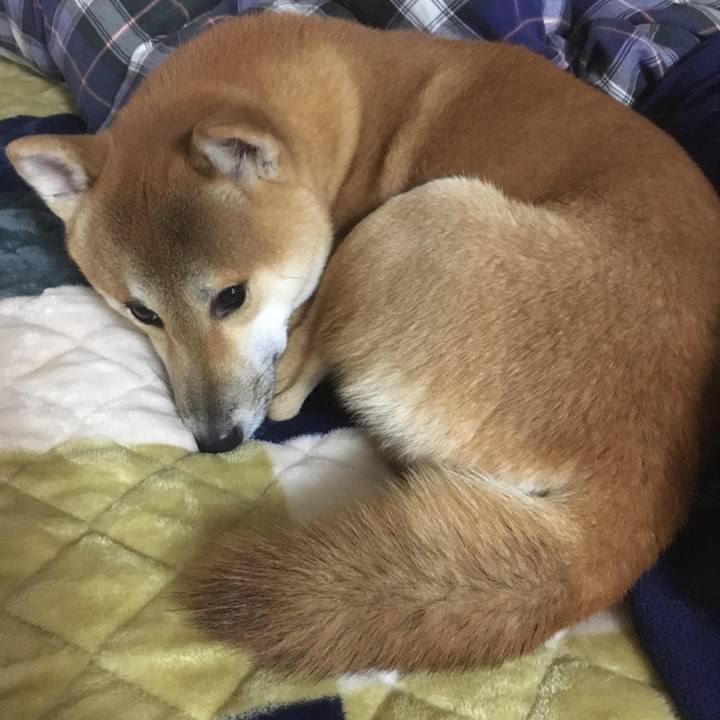 C0d49608 e32c 4141 a8e6 29bdaf593b31