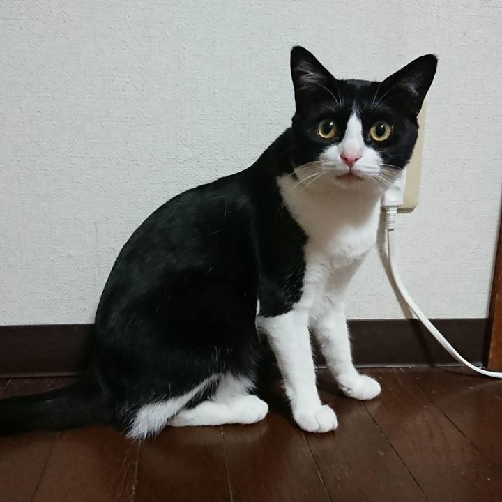 C0d5195a 8145 4380 8d12 dc70598a9ace
