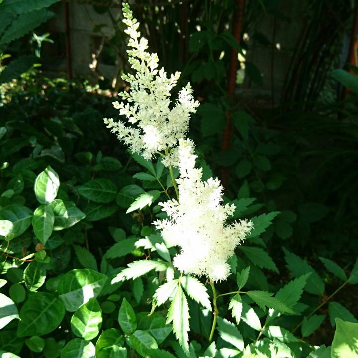 C0d5b86c 91d0 4ccd 9de4 d7b4950863fd