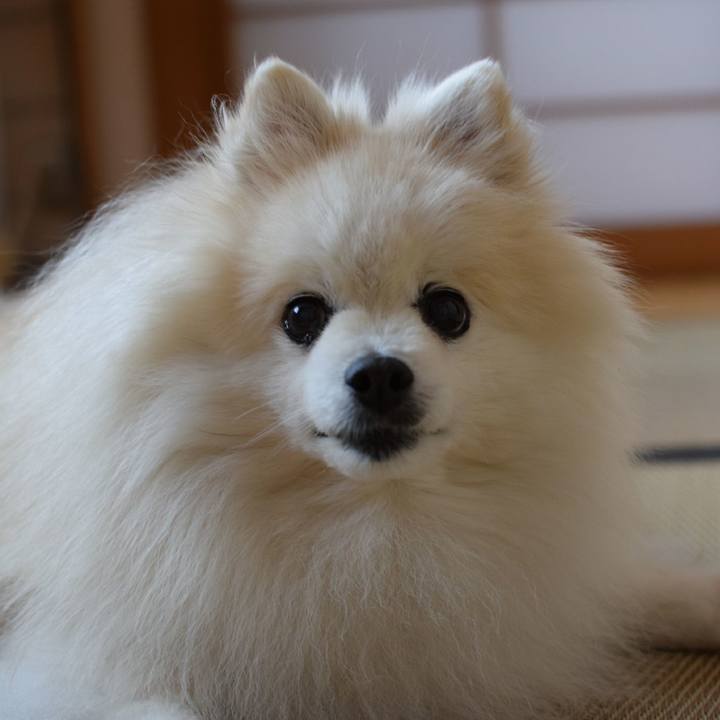 C0d5cff4 eb7b 4e0b 89ab fbe13d17c0d2