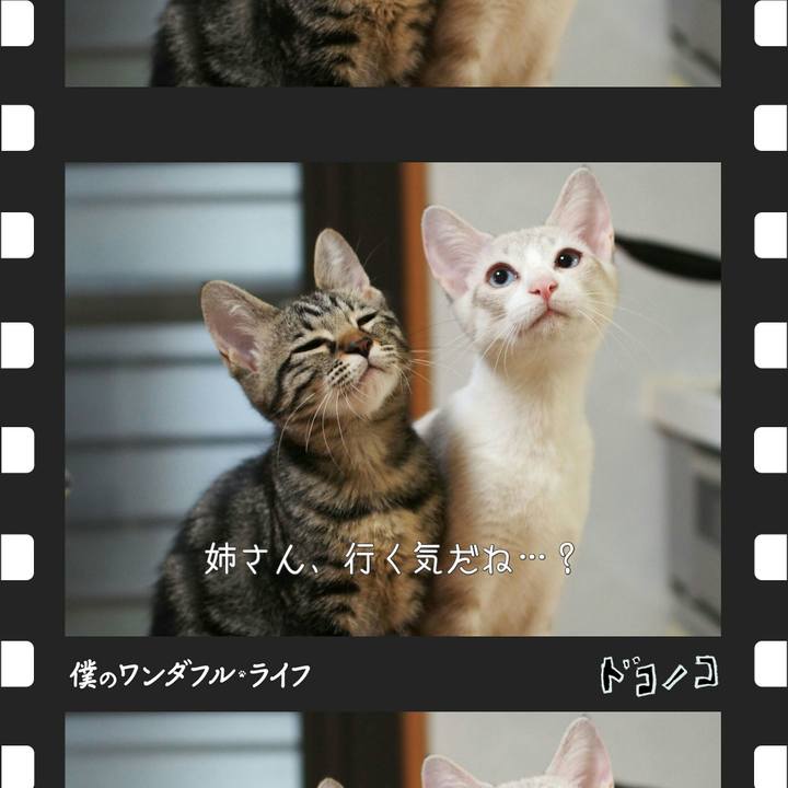 C0d69c8a 3a95 42d1 ab7d 9769118d4f15