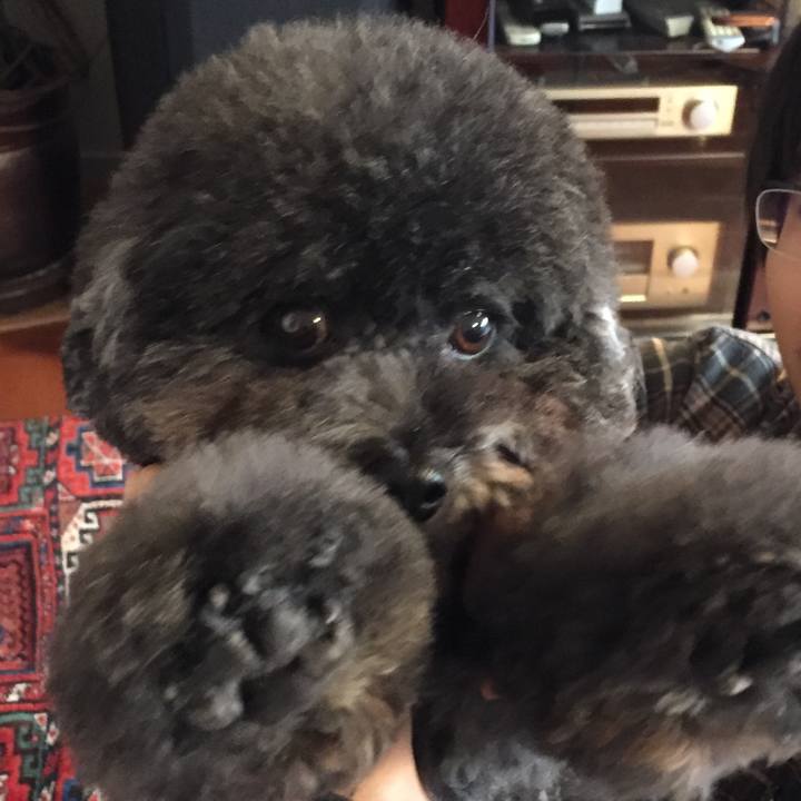 C0d72891 51f9 4017 9990 299de05526d7