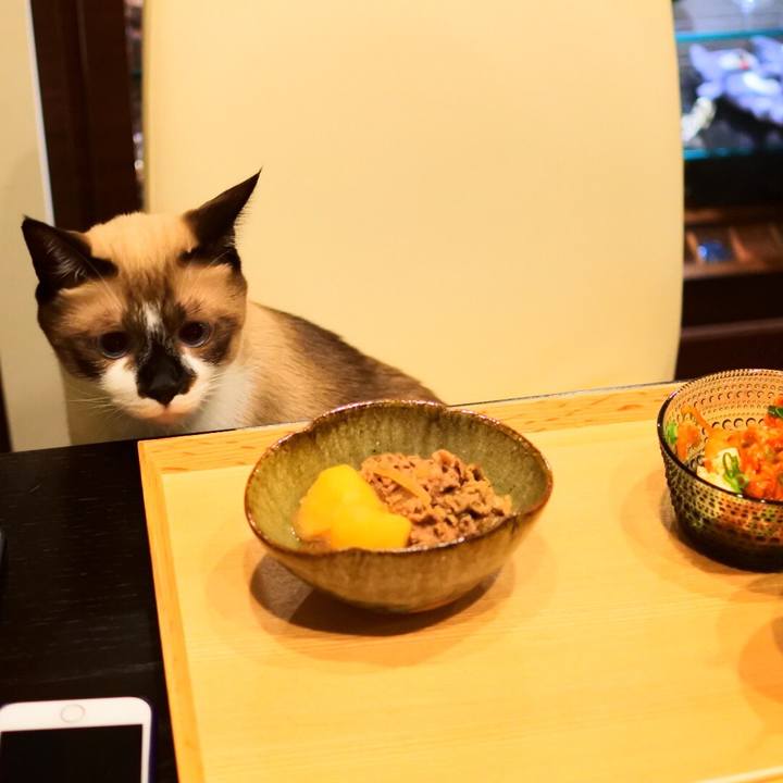 C0d7dec3 0429 44f0 8b80 1a5dfce2a222