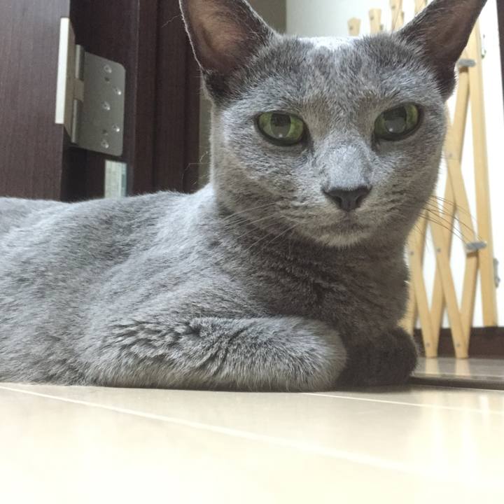 C0d86e31 3574 44ba bac4 c2ed5472016e