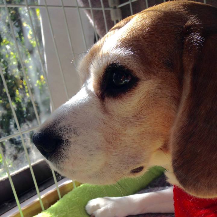 C0d966f4 f199 48e7 ba08 93081be9ba74